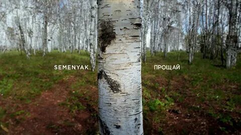 Сулима прости прощай