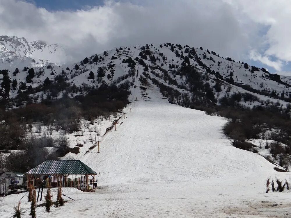 Area near. Чимган горнолыжный курорт. Чимган горнолыжная трасса. Ташкент горы Чимган горнолыжный курорт. Горы Чимган Узбекистан зимой.