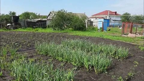 Погода с мачеха волгоградская область