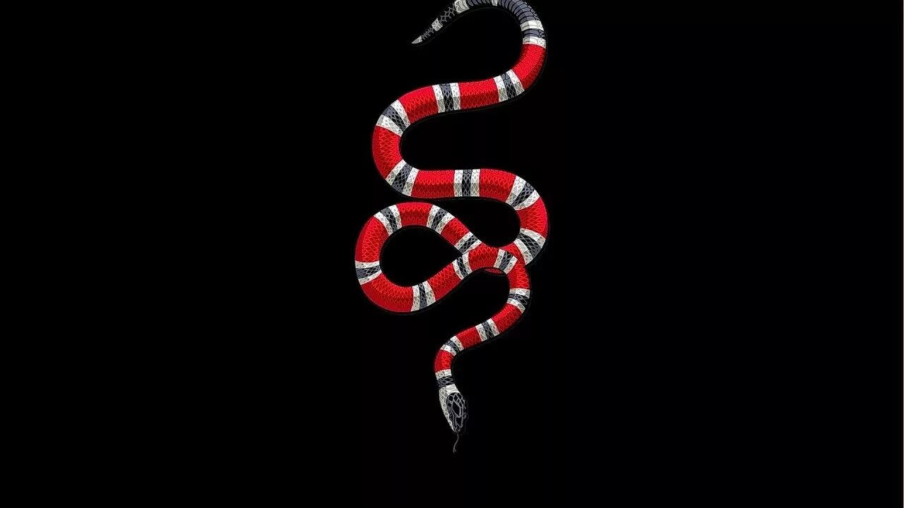 Snake x