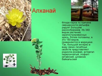 Дневник забайкальский край