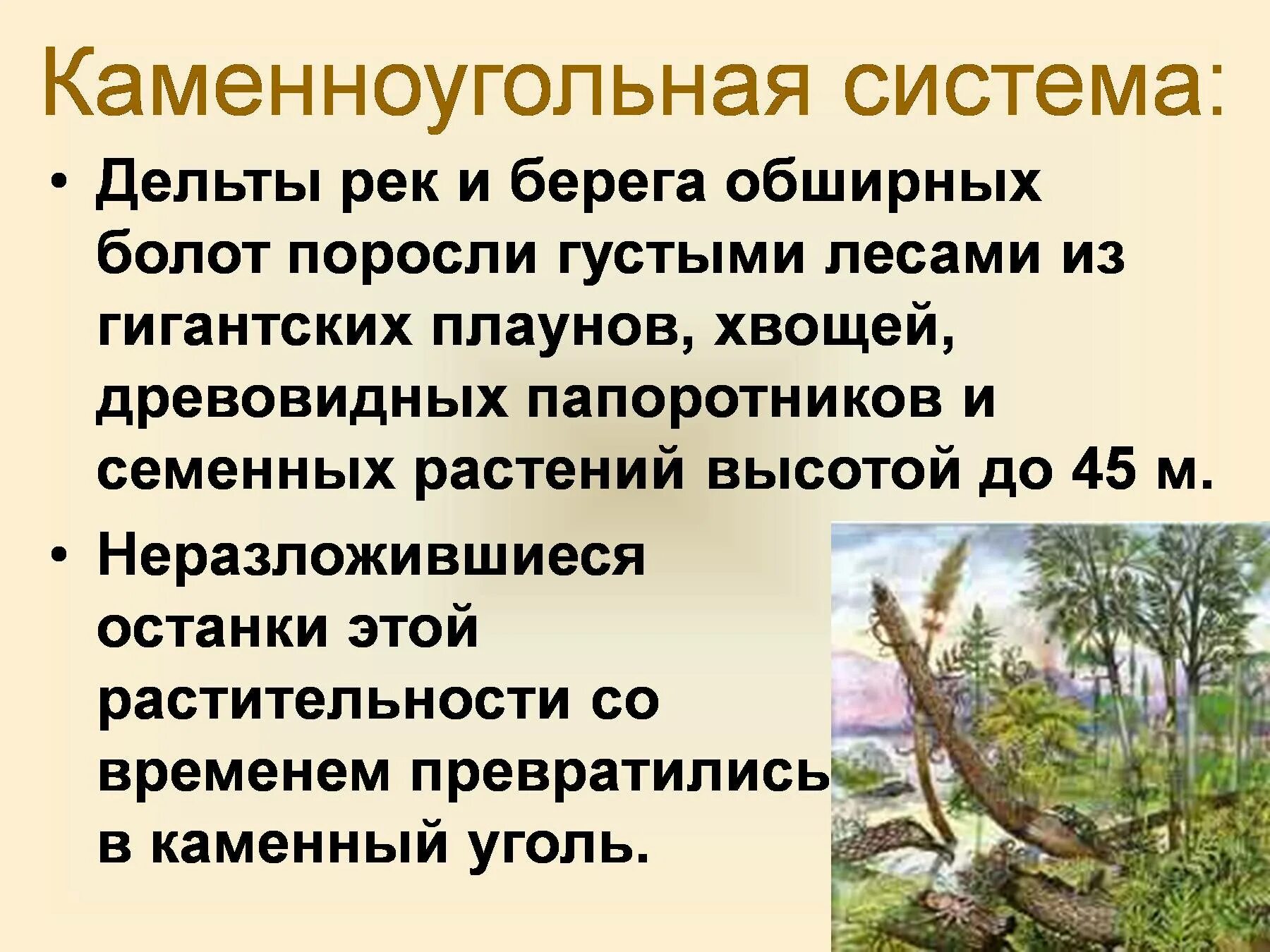 Какова роль человека в эволюции растительного. Возникновение растений.