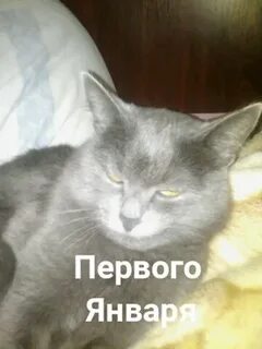Тимофею не меньше десяти лет