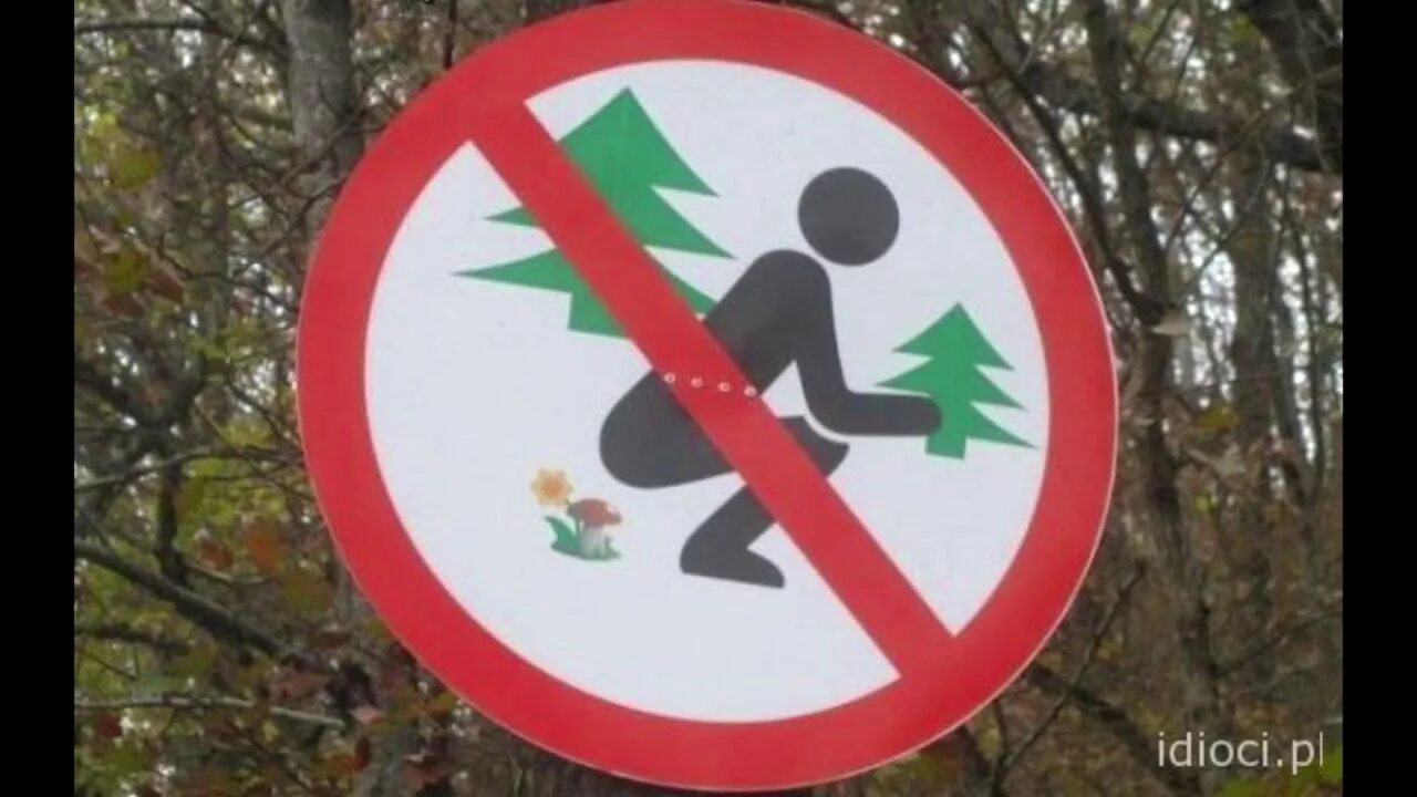Какие знаки можно встретить в заповеднике. Смешные знаки. запрещающие знаки в лесу. необычные знаки. запрещающие знаки в леву.