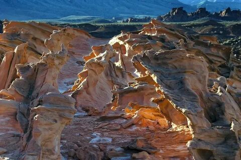 Geology