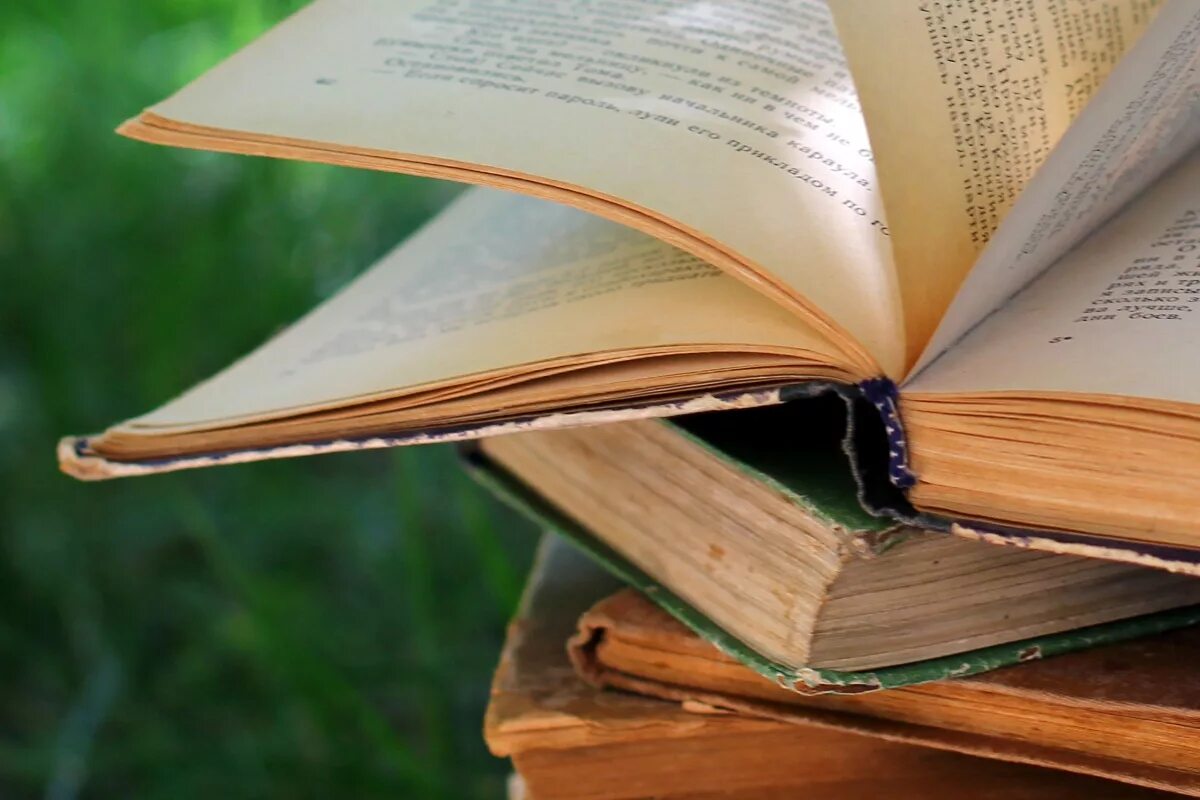 Читать как открытую книгу