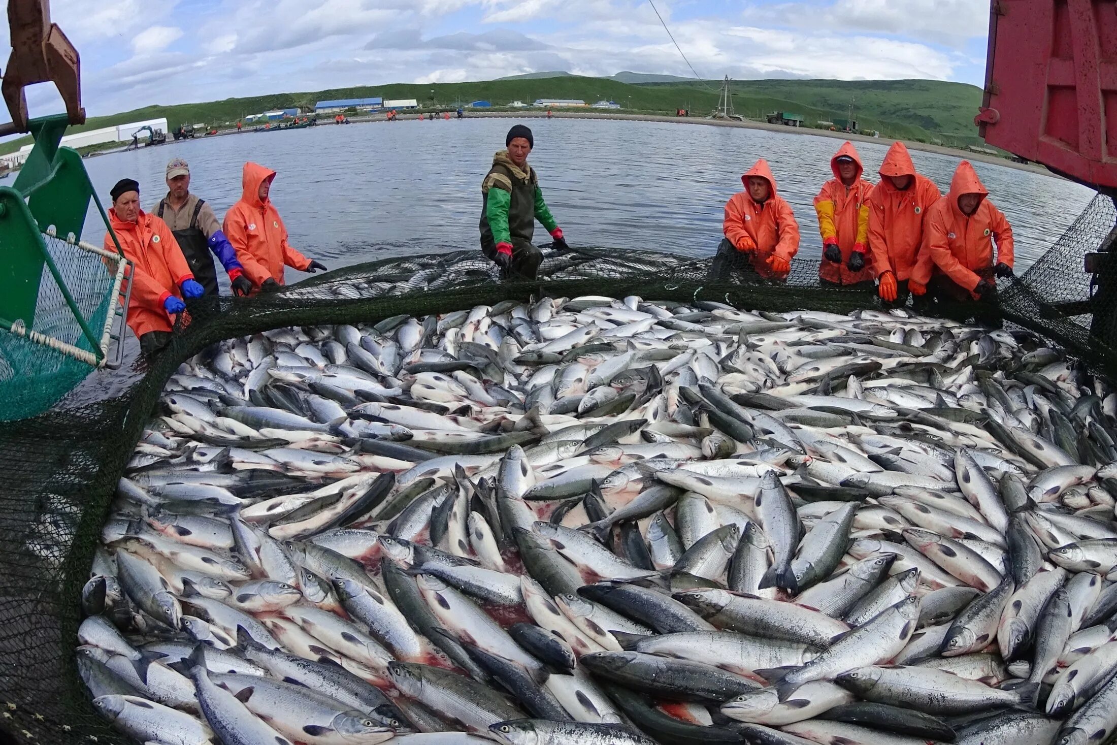 Рыбопромышленный комплекс дальнего Востока. Рыбная промышленность дальнего Востока. Добыча рыбы. Промысел рыбы. Мировой улов