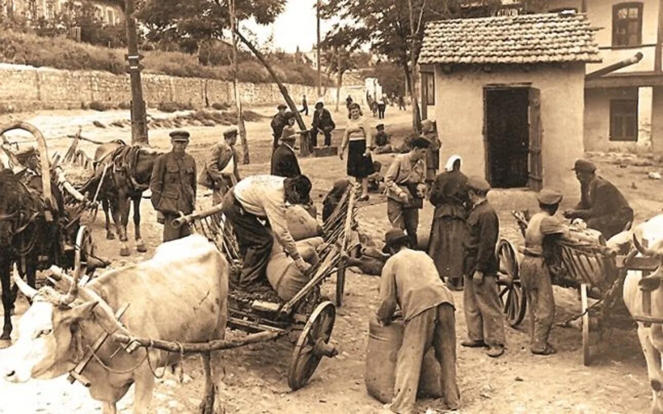 Засуха 1946 год. Послевоенный голод в ссср 1946-47 годов. Засуха 1976 года в англии. Засуха в ссср (1972). Засуха 1946 год.