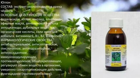 Юглон черный орех