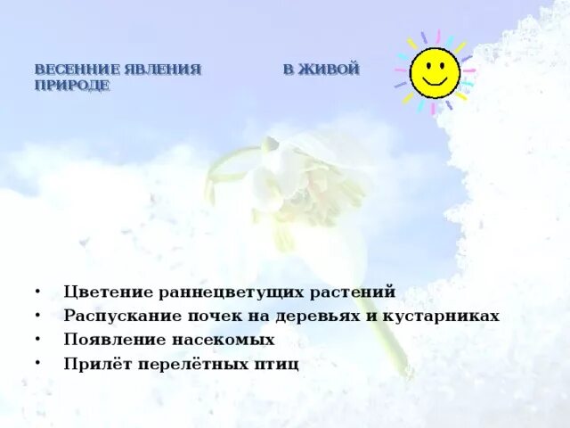 Какие весенние явления природы. Вессение явление в живой природе. Весенние явления в живой природе. Весенние явления природы в живой природе. Явления живой природы весной.