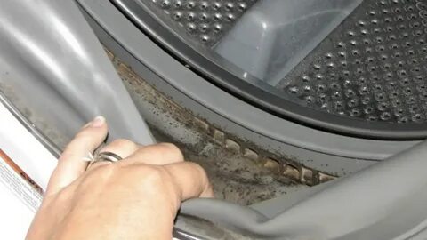 Inciter nez Rebondir nettoyer caoutchouc Fumée Sympathiser je pense