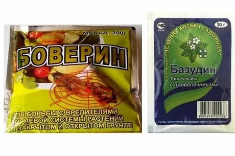 Базудин