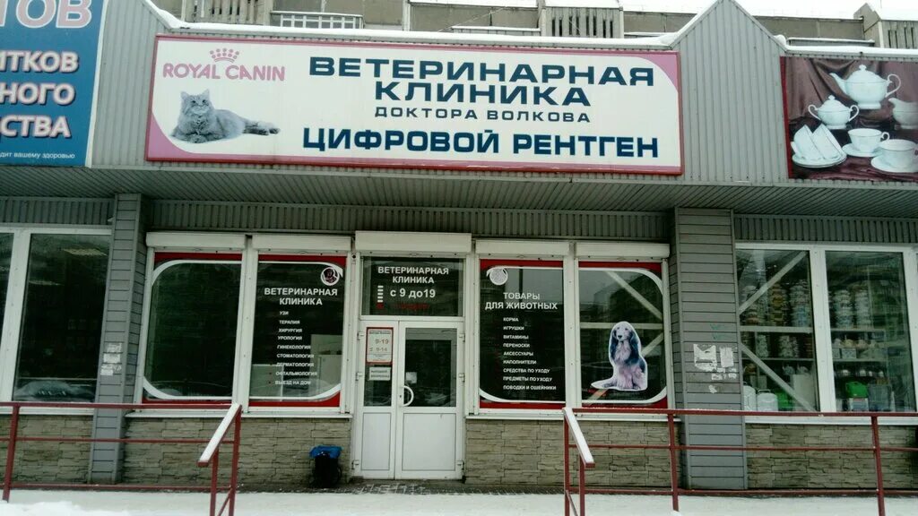 ветеринарные клиники липецк адреса и телефоны. липецк циолковского 18 ветклиника. центральная ветеринарная клиника липецк. такса ветеринарная клиника липецк. альтаир клиника нальчик.