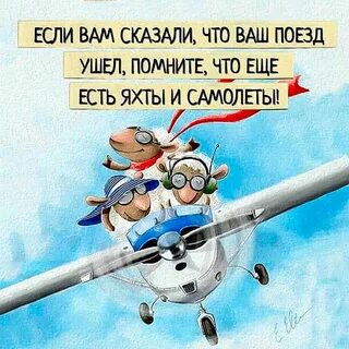Скажи ваша