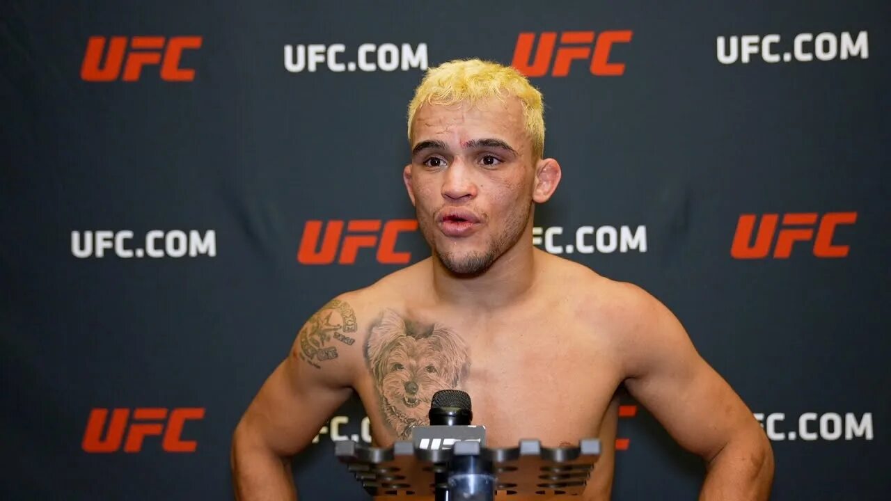 Даниэль сантос. Хоаким дос сантос. Даниэль сантос боец. Гваделупе сантос даниэль монкадо. Даниэль сантос.