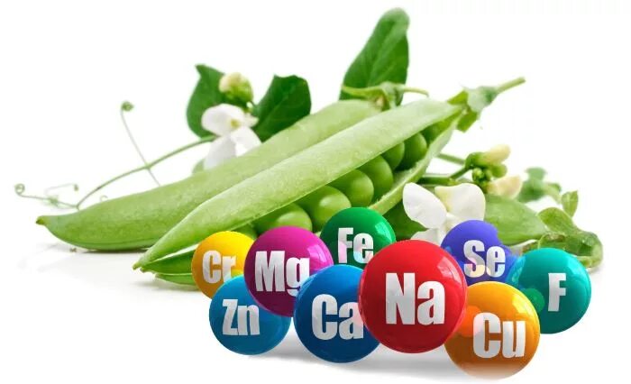 Вред гороха для организма. Горох польза. Полезные свойства гороха. Чем полезен горох для организма. Полезен горох для организма.