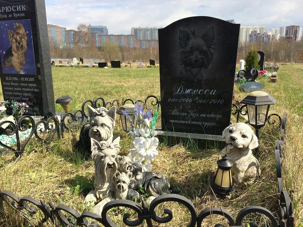 Захоронение животных. Городское кладбище животных, санкт-петербург. кладбище домашних животных могилы. городское кладбище животных в спб. собачье кладбище спб.