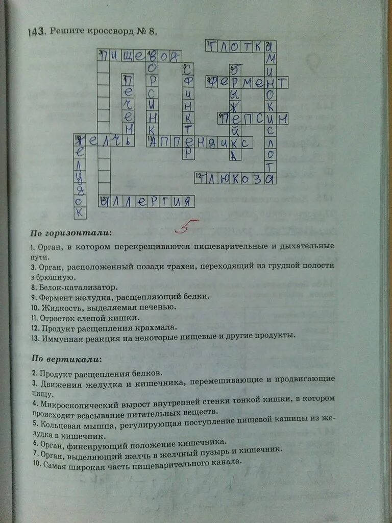 Кросвордмгаттему пищеварительная система. Кроссворд на тему пищеварение. Кроссворд по пищеворения. Кроссворд на тему пищеварительная система. Кроссворд на тему дыхание биология 6 класс