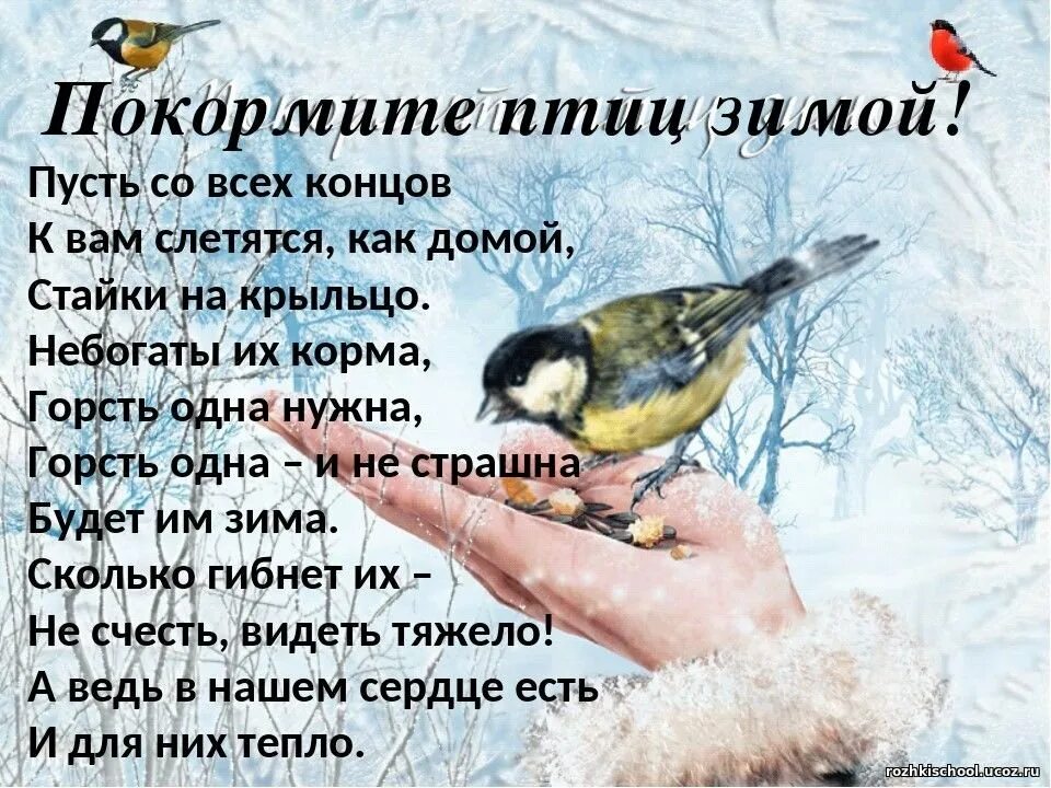 Покормите птиц зимой стихотворение. Кормим птиц зимой. Акция Покормите птиц зимой. Стихи на тему Покормите птиц зимой.