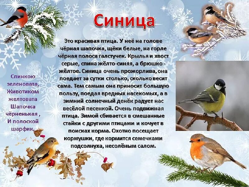 Сказка про зимующих птиц для детей