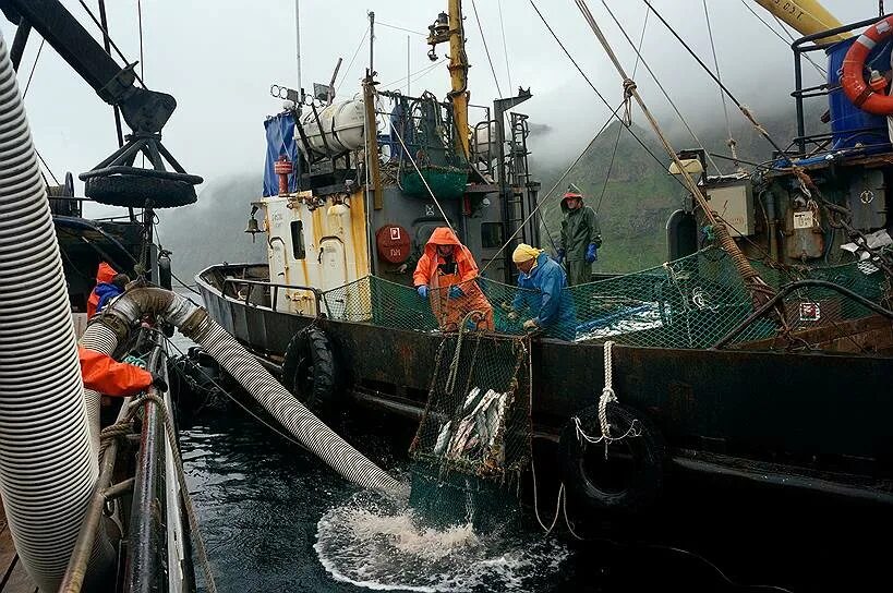 Сахалинский рыболовный флот. Компании.. Гидрострой рыбодобывающая компания. МРС 150 рыбалка на Сахалине. Гидрострой Курильск. Вести промысел