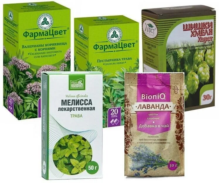 Какие травы можно для сна. Травы для успокоения нервной системы ребенка. успокоительные травы. успокоительный чай. чай успокаивающий нервную систему.