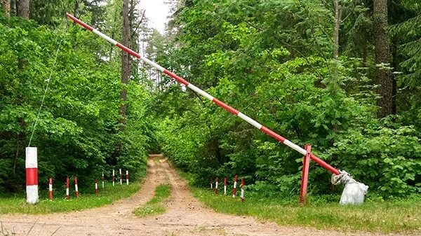 Можно ли посещать леса. Шлагбаум Лесной. Открытый шлагбаум в лесу. Съемки лесов. Разрешено посещение лесов.