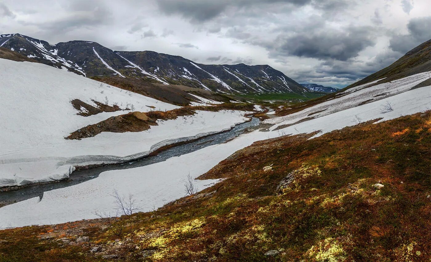 хибины в мае. хибины в мае. хибины в мае. хибины стланик. хибины в мае.