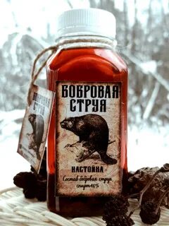 Экстракт бобровой струи