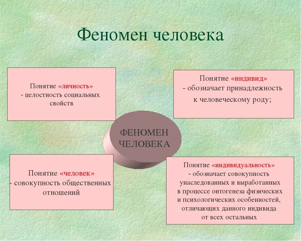 Феномен человека культуры. Люди-феномены. Основные социальные феномены жизни человека. Феномен это. Феномен жизни человека это.