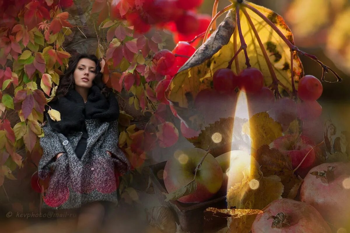 Осень рыжая кошка слова. Осень печальная пора. Вот и осень в окно стучится песня. Осень и дождь в окно стучится. Вот и осень в окно стучится песня.