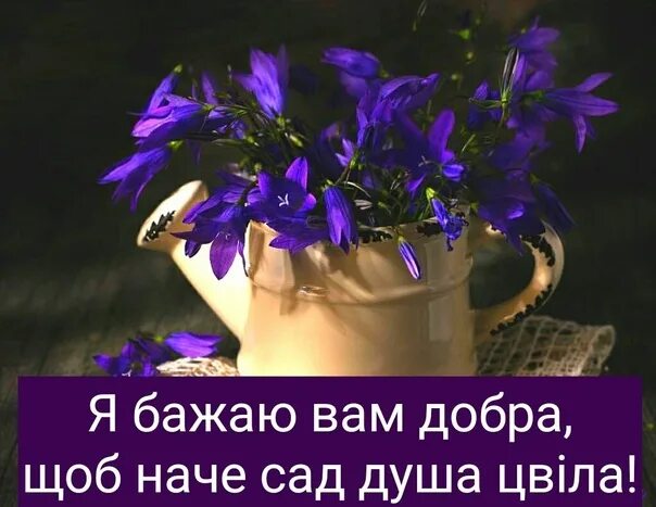Добрый вечер картинки пожелания на украинском ЛИШЬ полюбив душой, а не глазами.