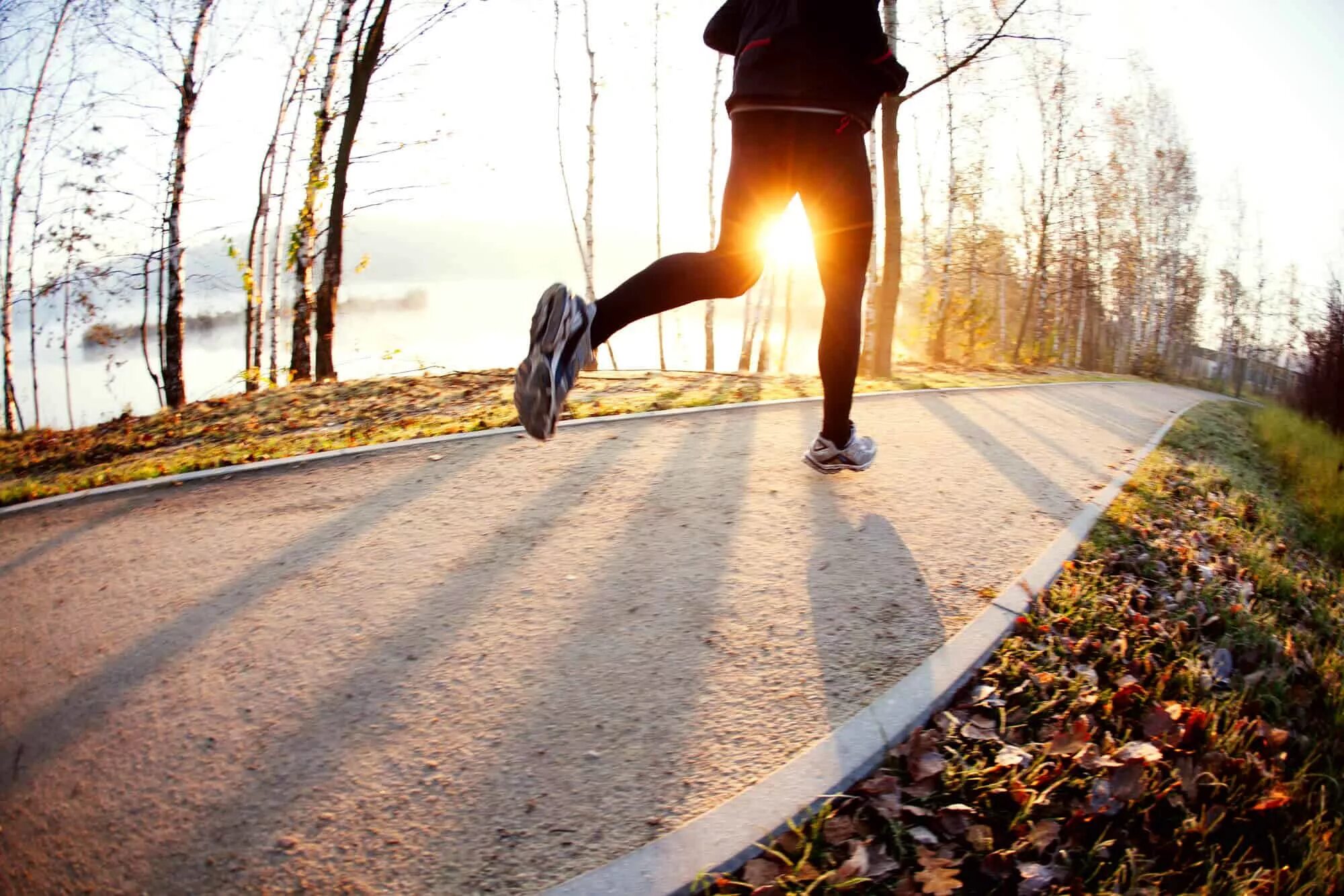 Fall run