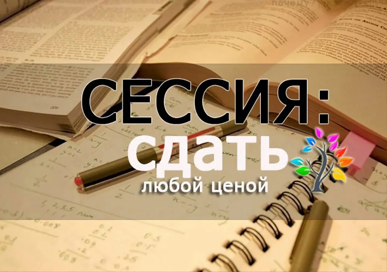 Сдал летнюю сессию