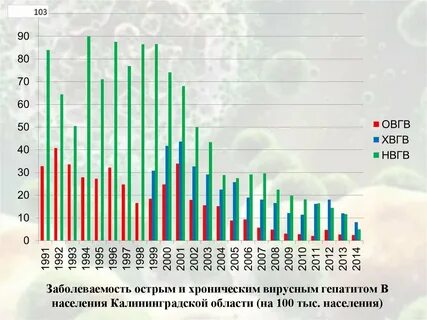 Калининград заболеваемость