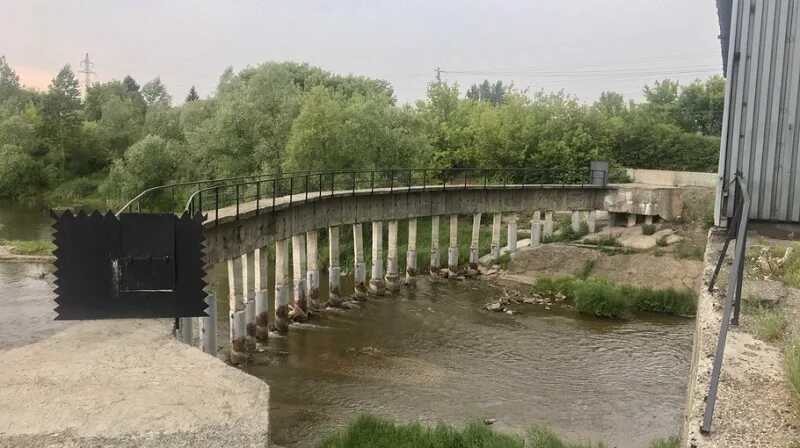 Водоем в парке. Пруд. Парк изумрудный барнаул 2022 реконструкция пруда. Изумрудный парк барнаул отреставрированный. Санаторий сосновый бор алтайский край.