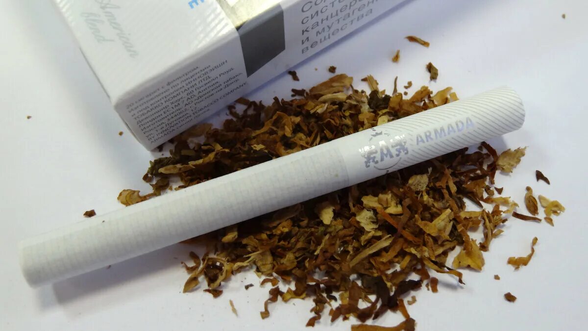 Хинди сигареты. Кыст аль хинди. Хинди сигареты. Сигареты император кыст. Хинди сигареты.