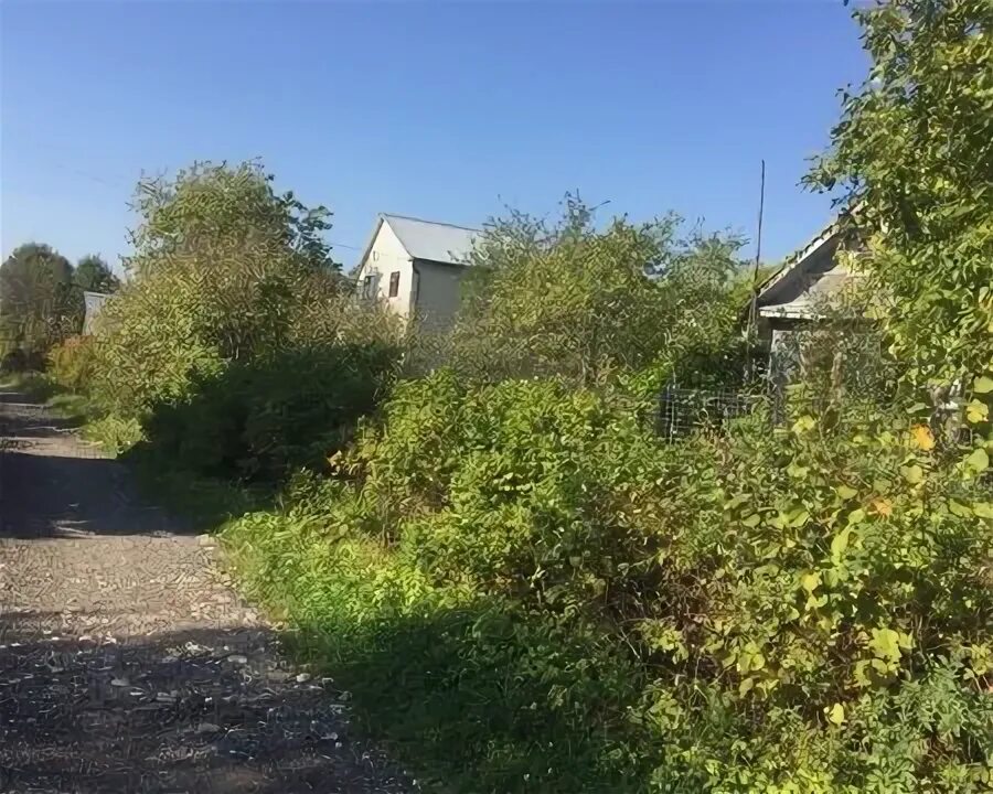 Погода в андрейково рузский. Коттеджный пос. Погода в андрейково рузский. Андрейково-лесное, 31. Погода в андрейково рузский.