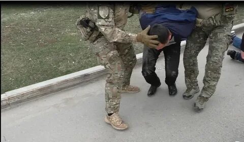 Чекалины задержаны на 48 часов