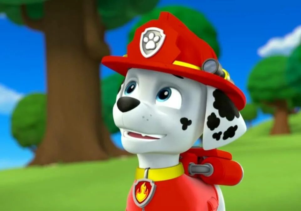 Щенячий патруль из майнкрафта. Марикопс щенячий патруль. Шенячийпатруль гонщик. Щенячий патруль. Щенячий патруль: суперпатруль 2.