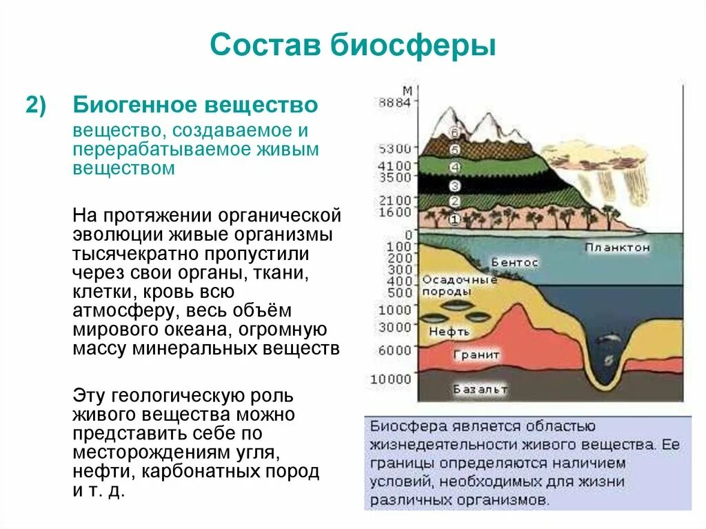 Состав биосферы. Биогенное вещество биосферы. Биогенные полезные ископаемые. Состав биосферы вещества. Биогенным называется вещество