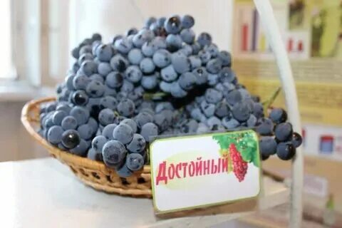 Институт плодоводства