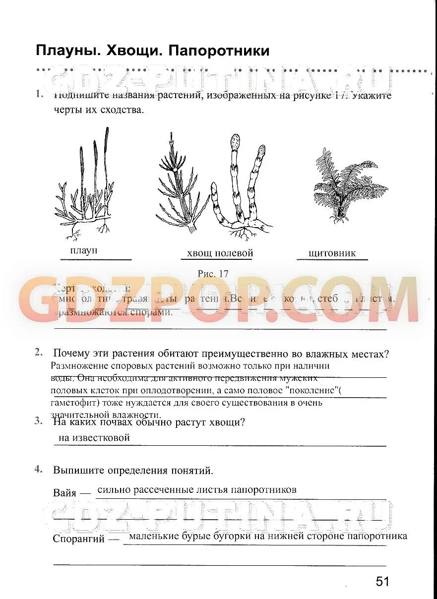Биология 6 класс учебник водоросли. Биология 6 класс учебник водоросли