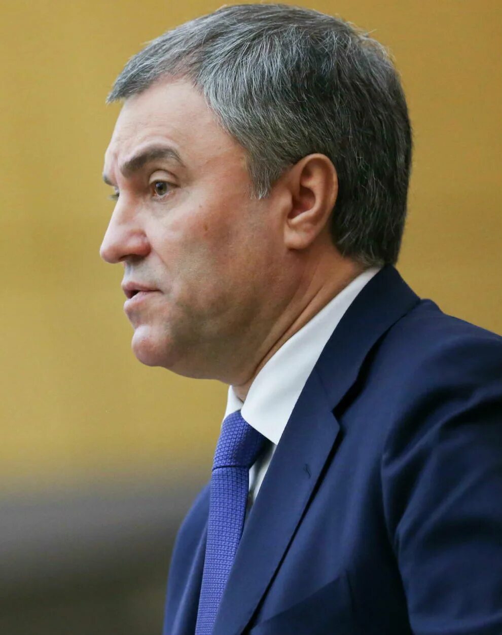 Биография председателя. Вячеслав володин в молодости. Биография председателя. Глава конституционного суда рф зорькин. Литвиненко виктор александрович.