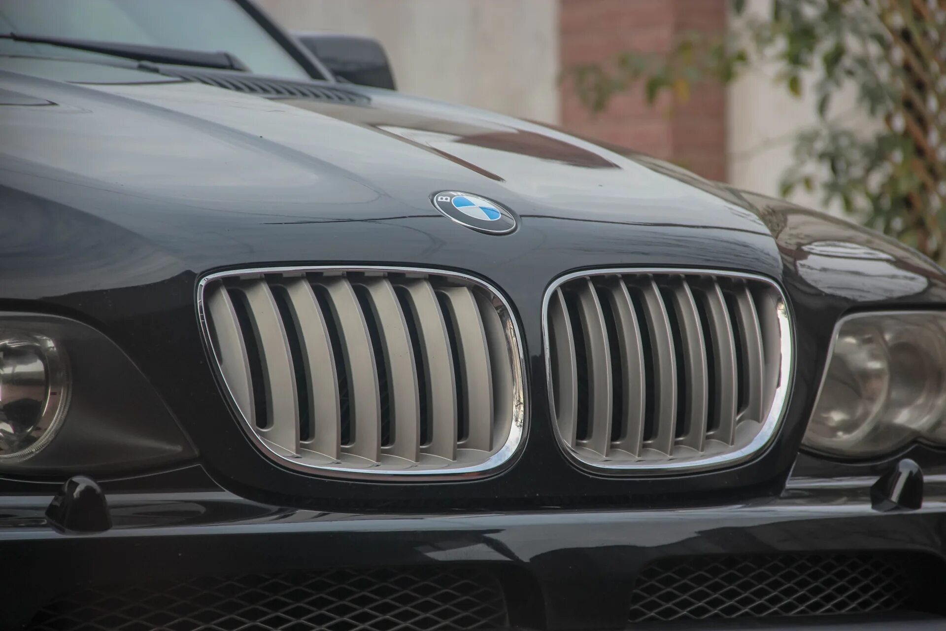 Ноздри M performance - BMW X3 (F25), 3 л, 2013 года аксессуары DRIVE2