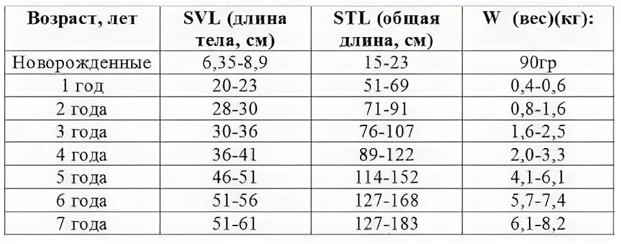 Размер пениса у ребенка в год. Длина полового органа в 11 лет. Размер пениса у мальчика 11 лет. Размер полового органа в 13 лет. В каком возрасте прекращается рост