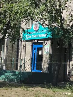 Три пингвина абакан