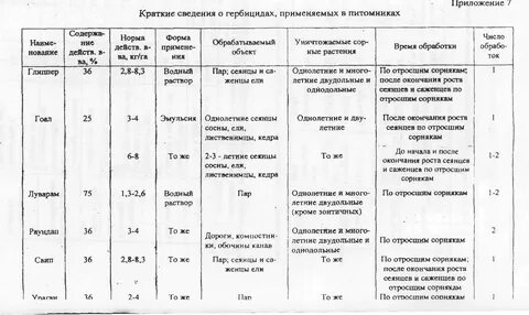 Сроки посева хвойных пород