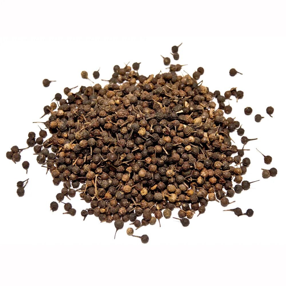 Перец кубеба. Cubeba / перец кубеба тинторетто. Литсея кубеба. Перец кубеба. Кубеба растение.