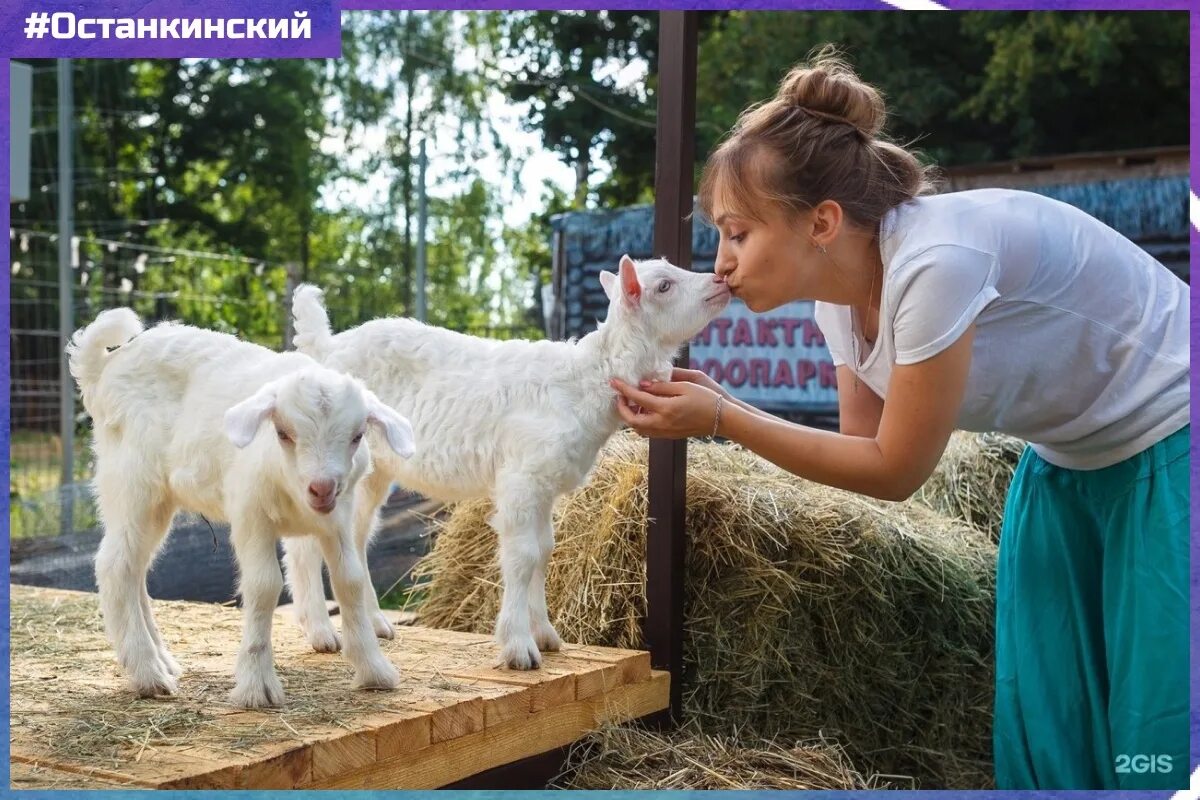 Прогулка по парку Победы в день города и в день металлурга Алексей Авдеев Дзен